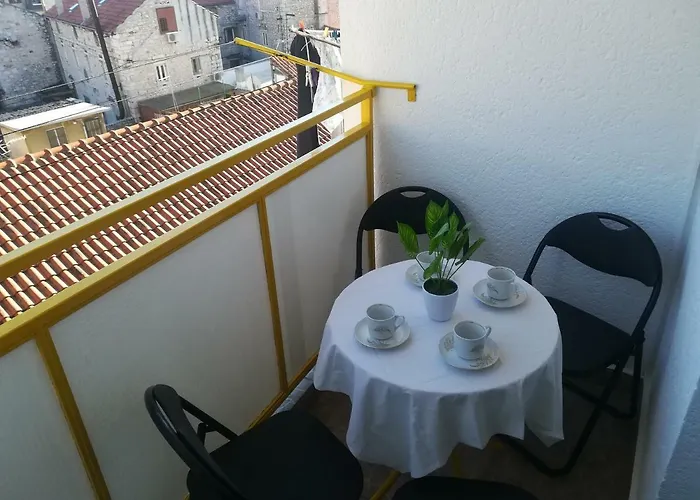 Antonela 시베니크